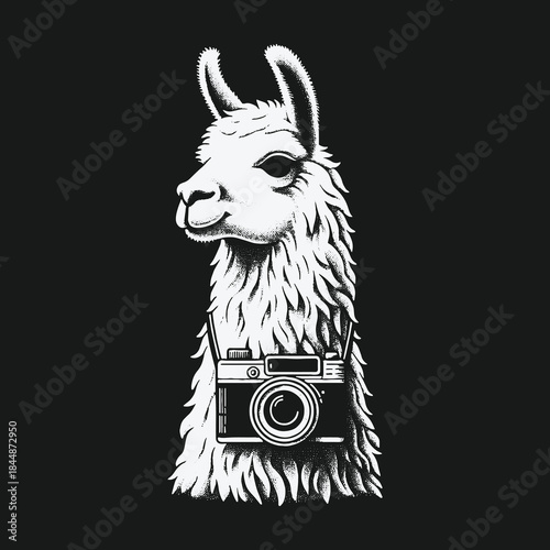 Black and White Illustration of a Llama Photographer with a Vintage Camera.