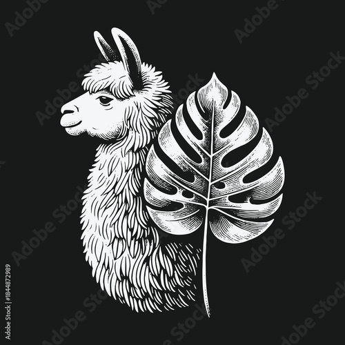 Vintage style hand drawn llama with tropical monstera leaf.