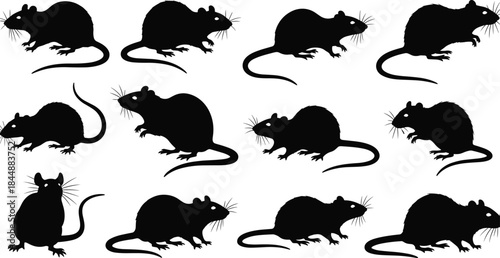 Black rat silhouette collection, mouse rodent poses set, animal pest icon shapes, isolated vector illustration for logo, sign, tattoo, decoration