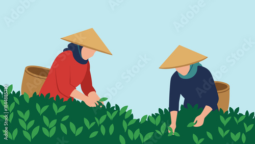 Two farmers in traditional hats harvesting crops in a lush green field.