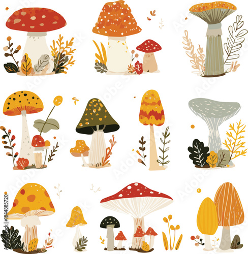 Set of autumn different mushrooms and plants. Cute wild forest fungus. Autumn stickers. Flat design. Vector illustration
