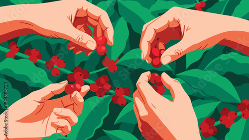 Hands Collecting Red Berries from Lush Green Plant in a Cooperative Harvest Scene.