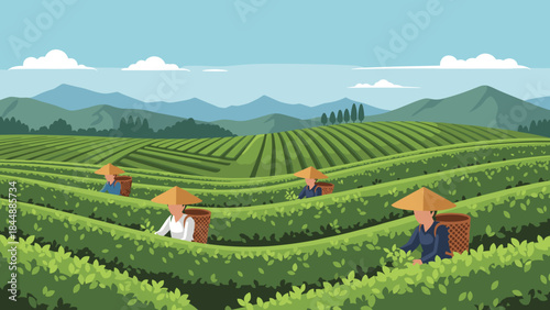 Sunlit Tea Plantation with Workers Harvesting in Rolling Green Fields.