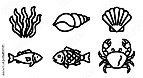 Sea Life Icons - Seaweed, Shells, Fish, and Crab in Black Outline.