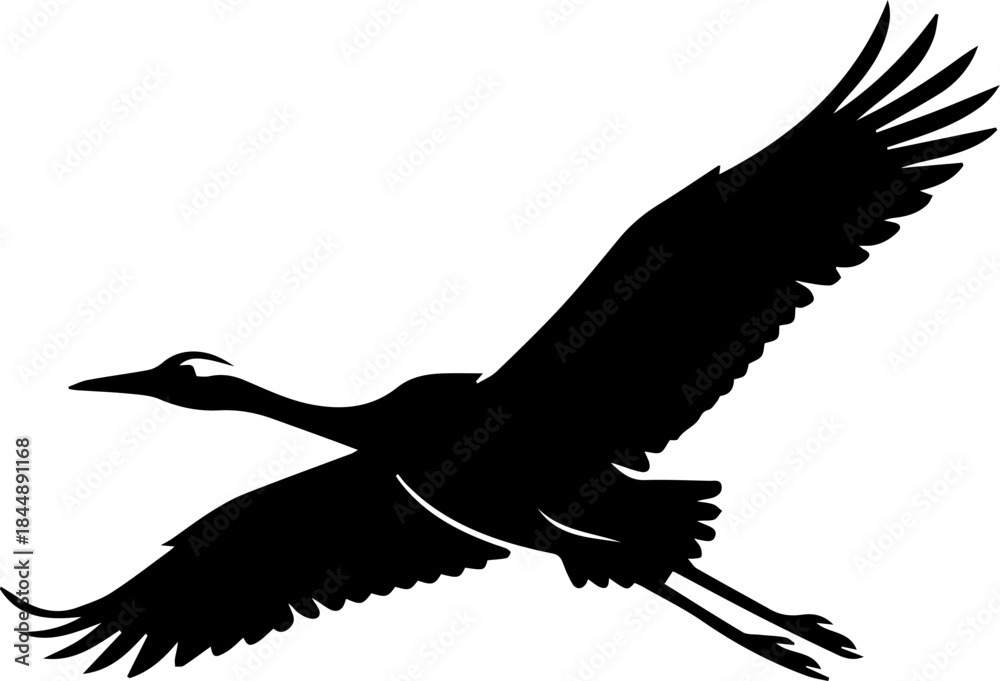 Obraz premium 날아가는 학