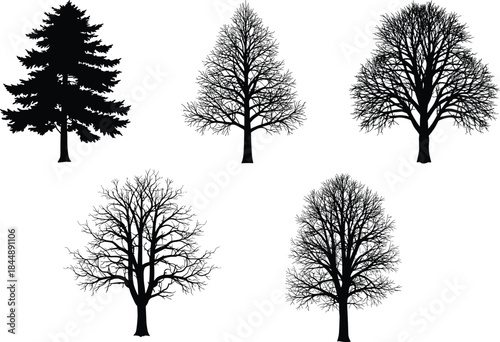 Black tree silhouette collection, diverse branching patterns, botanical tree shapes, forest design elements, nature-inspired tree forms, artistic tree illustration set, graphic woodland