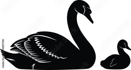 Swan and cygnet silhouette vector, black bird illustration, parent child bond, nature theme, graceful posture, minimal design artwork