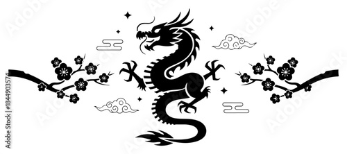 Black silhouette of chinese dragon with blooming plum blossom branches