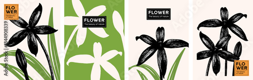 Flower and leaf illustration. Nature inspired vector design for poster, banner, card, art print, label, or book cover.