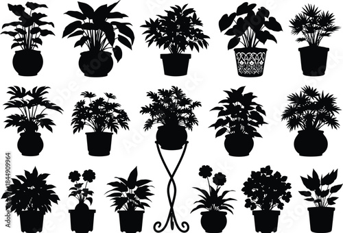 A collection of silhouettes featuring various indoor potted plants for graphic design