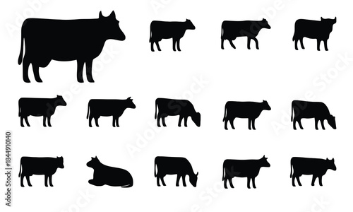 The Cow silhouette completely solid black background offering versatile space for design and abstract concepts