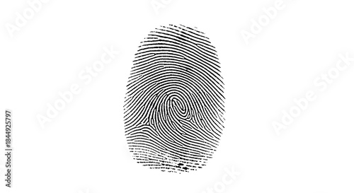 Isolated Black Fingerprint on White Background