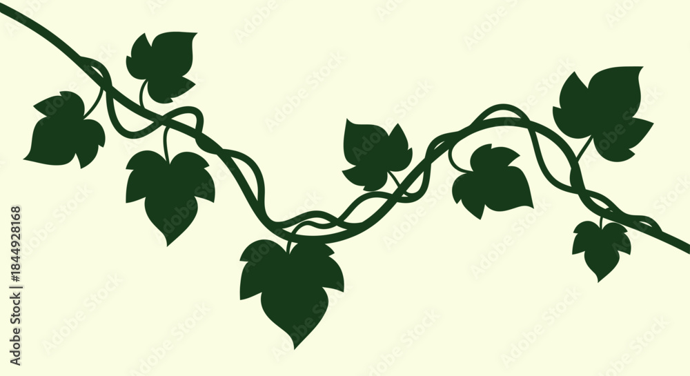 Naklejka premium Ivy branch with leaves with transparent background