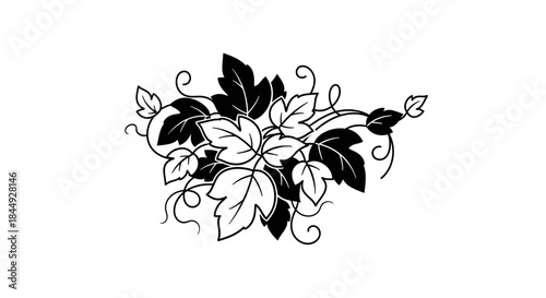 Ivy leaves and tendrils with transparent background