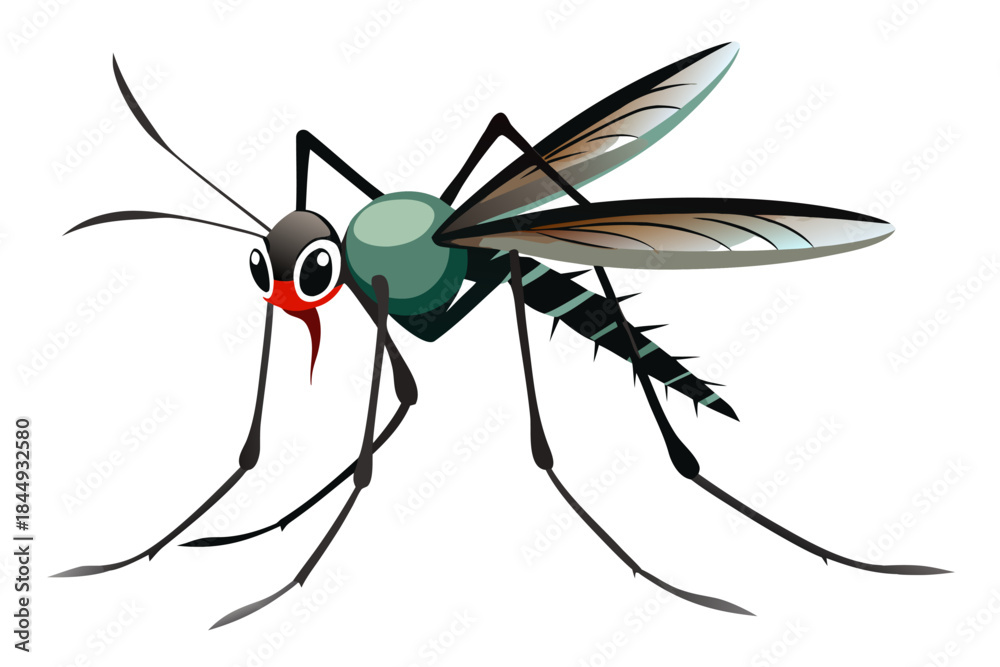 Fototapeta premium Mosquito Line Drawing Vector – Detailed Insect Outline Illustration for Science and Education