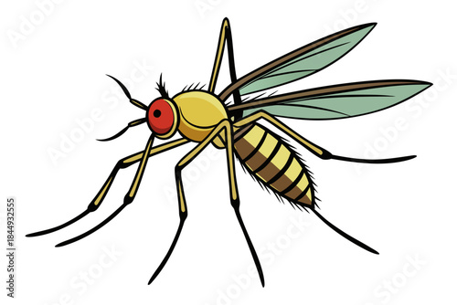 Mosquito Line Drawing Vector – Detailed Insect Outline Illustration for Science and Education