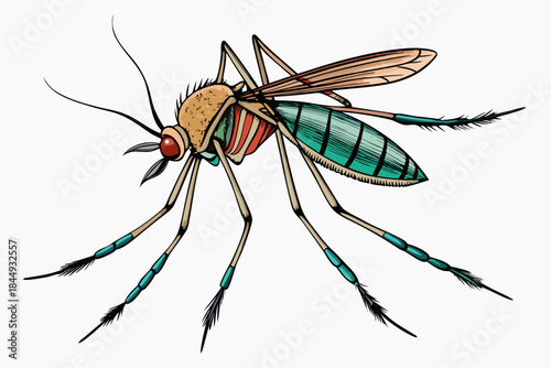 Mosquito Line Drawing Vector – Detailed Insect Outline Illustration for Science and Education