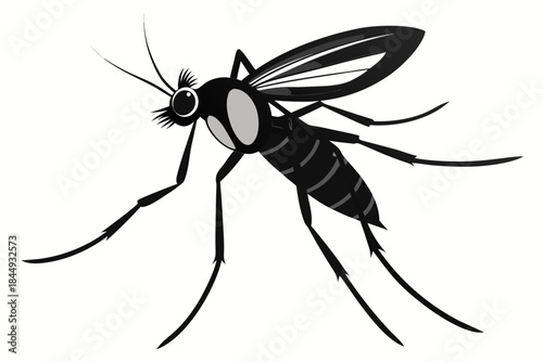 Mosquito Line Drawing Vector – Detailed Insect Outline Illustration for Science and Education