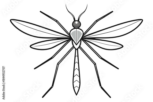 Mosquito Line Drawing Vector – Detailed Insect Outline Illustration for Science and Education