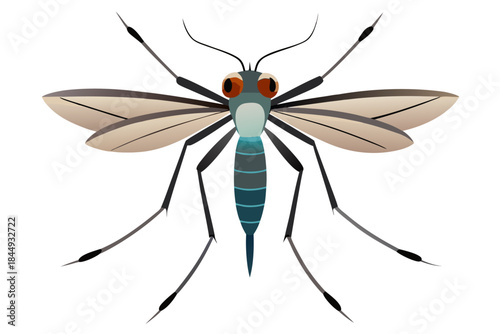 Mosquito Line Drawing Vector – Detailed Insect Outline Illustration for Science and Education