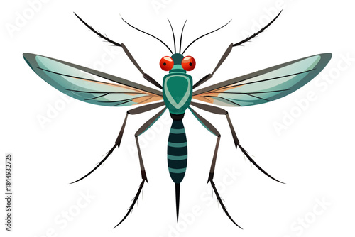 Mosquito Line Drawing Vector – Detailed Insect Outline Illustration for Science and Education