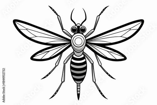 Mosquito Line Drawing Vector – Detailed Insect Outline Illustration for Science and Education