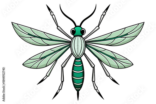 Mosquito Line Drawing Vector – Detailed Insect Outline Illustration for Science and Education