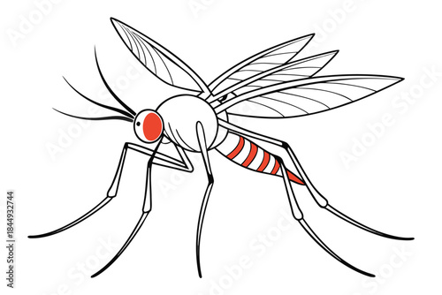 Mosquito Line Drawing Vector – Detailed Insect Outline Illustration for Science and Education