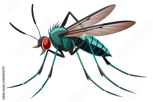 Mosquito Line Drawing Vector – Detailed Insect Outline Illustration for Science and Education