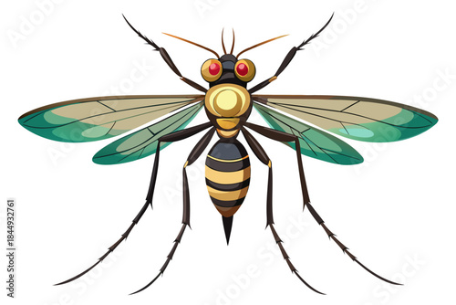 Mosquito Line Drawing Vector – Detailed Insect Outline Illustration for Science and Education