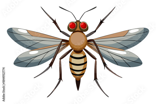 Mosquito Line Drawing Vector – Detailed Insect Outline Illustration for Science and Education