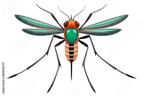 Mosquito Line Drawing Vector – Detailed Insect Outline Illustration for Science and Education