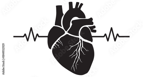  Black silhouette of a human heart with a heartbeat line silhouette