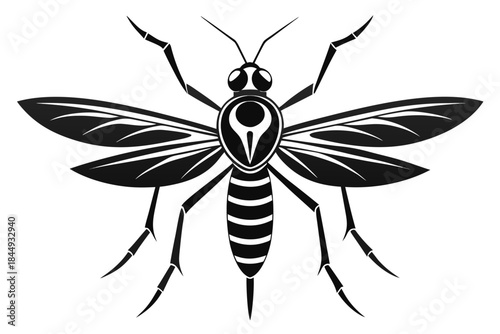 Mosquito Line Drawing Vector – Detailed Insect Outline Illustration for Science and Education
