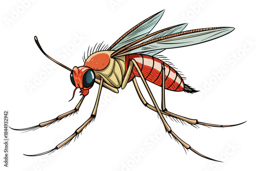 Mosquito Line Drawing Vector – Detailed Insect Outline Illustration for Science and Education
