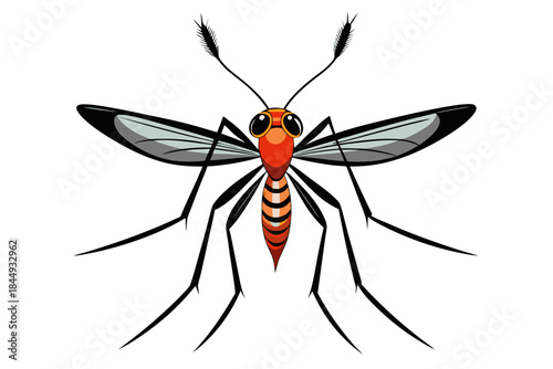 Mosquito Line Drawing Vector – Detailed Insect Outline Illustration for Science and Education
