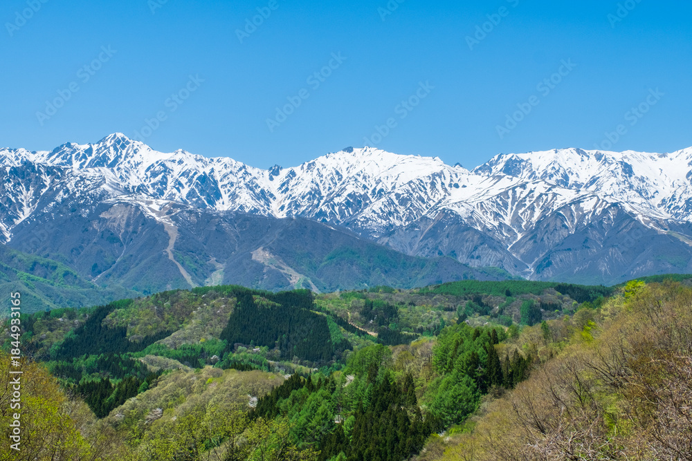 Obraz premium 残雪の北アルプス 白馬村