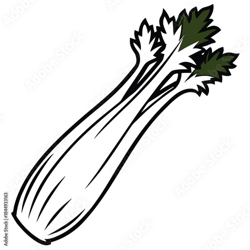 celery-isolated-on-pure-white-background.eps
