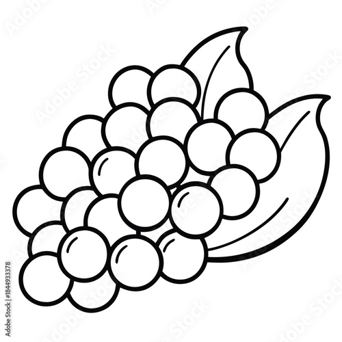 chickpeas-isolated-on-pure-white-background.eps