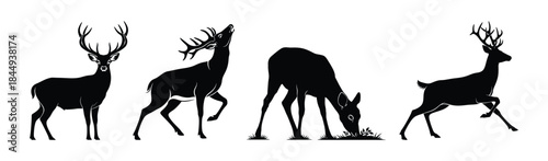 Majestic deer silhouettes in a wildlife ensemble, illustrating various natural behaviors