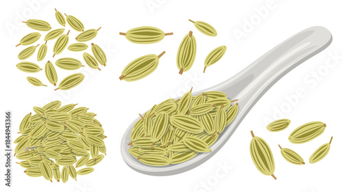 Fennel Seeds Isolated Clean Vector Illustration with Light Green Color on White Background for Culinary and Herbal Design.
