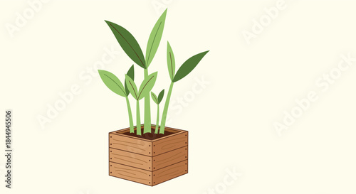 Simple and charming illustration of a green houseplant with multiple leaves growing in a square wooden planter box on a light background.