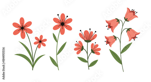Set of beautiful and simple stylized red-orange wildflowers and bellflowers with green leaves and stems, perfect for decorative floral designs.