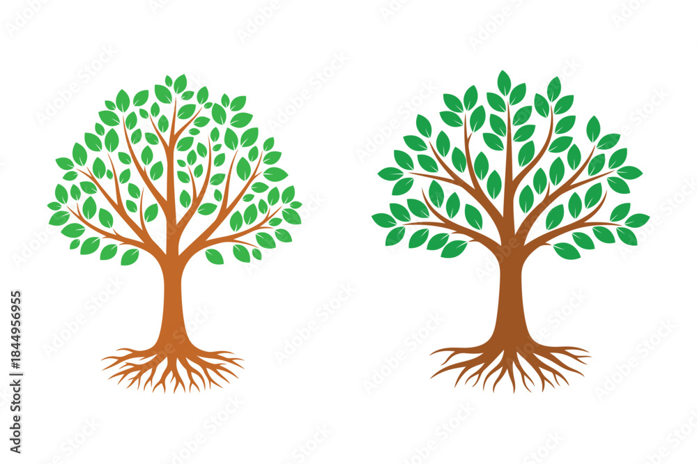 Obraz premium green tree with roots and leaves vector icon set