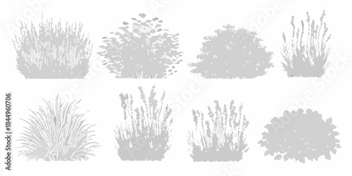 Collection of various shrub and grass silhouettes in grayscale tones