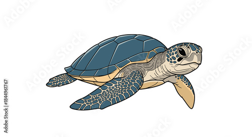 Sea turtle illustration showing a blue shell and patterned flippers gliding through clear water in a graceful ocean scene with bold outlines and soft shading.