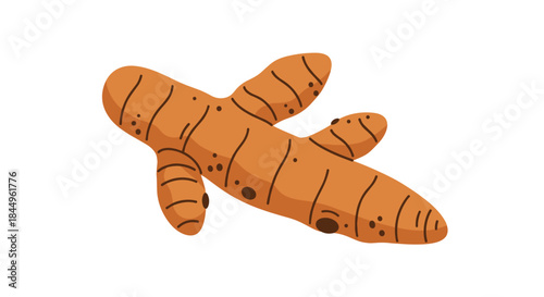 Two orange carrots lie intertwined on a white background highlighting their roots and natural textures with subtle lines and earthy tones.