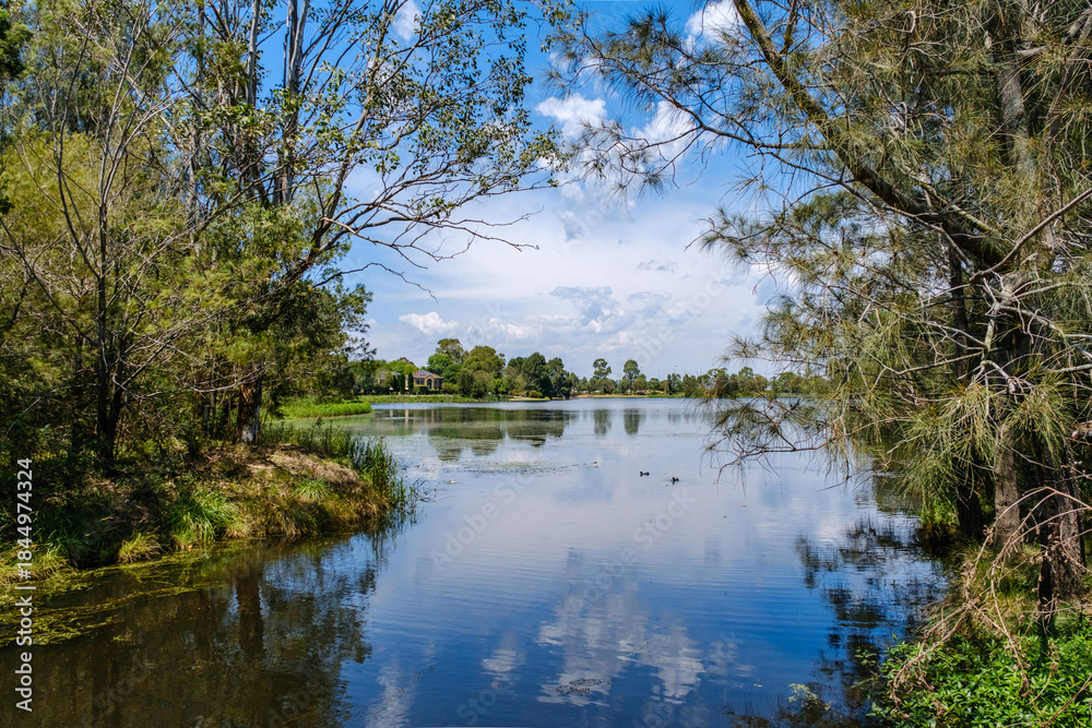 Fototapeta premium Harrington Park is a suburb of the Macarthur Region of Sydney in the state of New South Wales, Australia in Camden Council.
