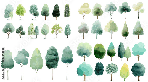 Soft watercolor tree illustration set featuring varied green foliage shapes ideal for landscape design nursery decor nature education and calm environmental themed visuals.