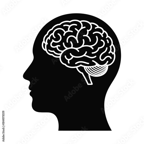 Human Head Profile with Visible Brain Silhouette Icon